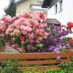 Hotel Gillmeier Herta Bad Griesbach im Rottal