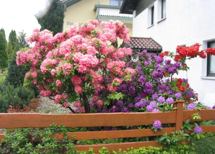 Hotel Gillmeier Herta Bad Griesbach (Bavaria)